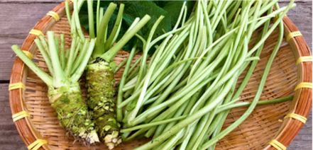 【佐賀のごほうび定期預金】選べる特典紹介Vol.32