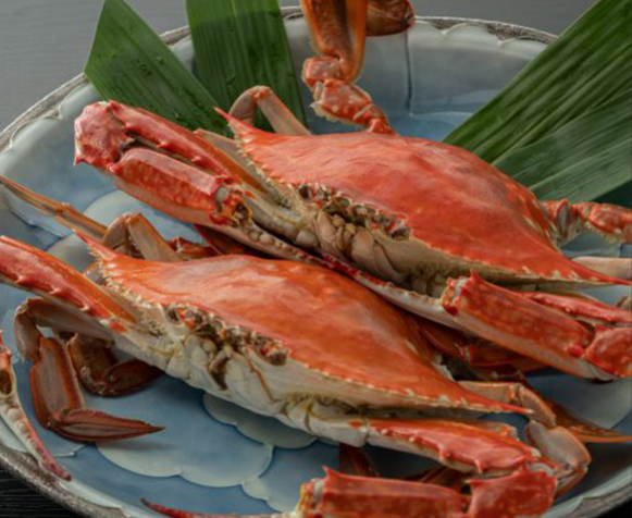 【佐賀のごほうび定期預金】選べる特典紹介Vol.21